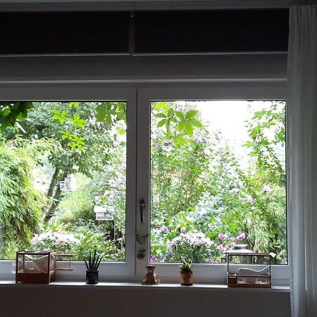 Ferienwohnung Hering In Dill Exteriér fotografie