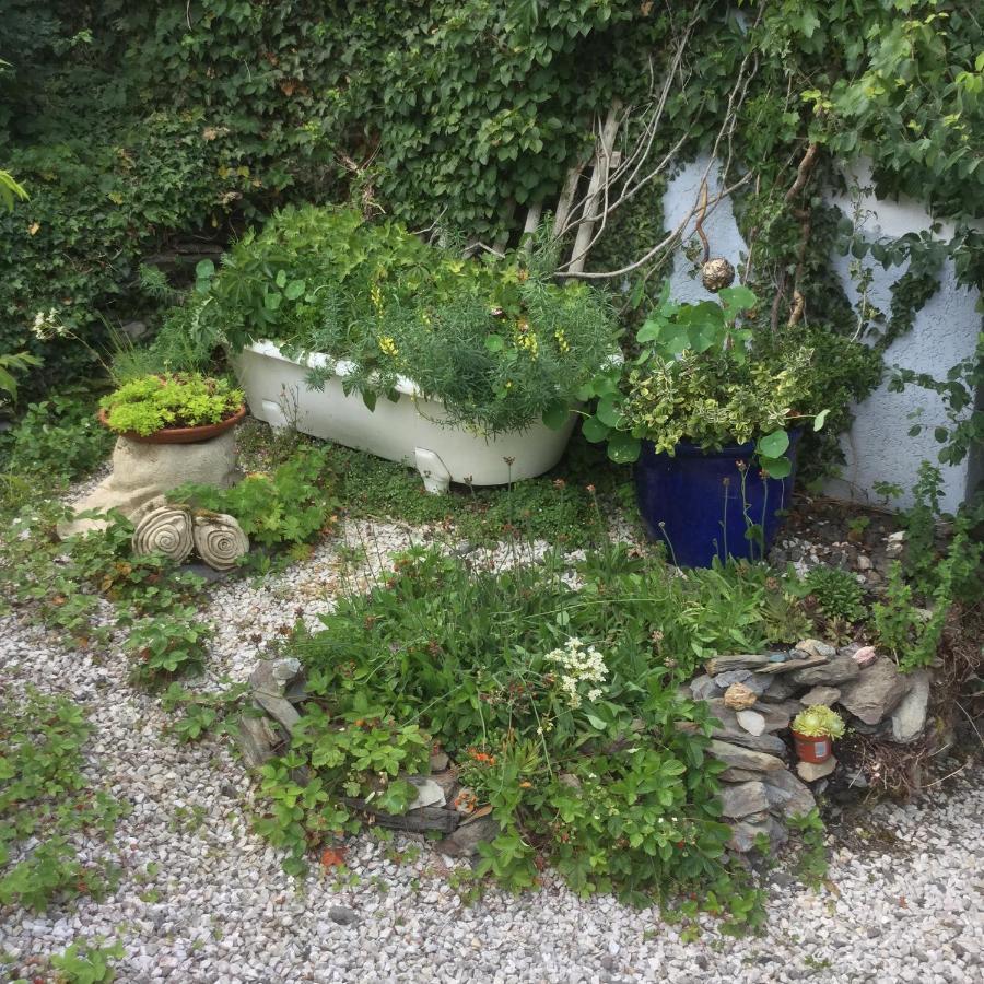 Ferienwohnung Hering In Dill Exteriér fotografie