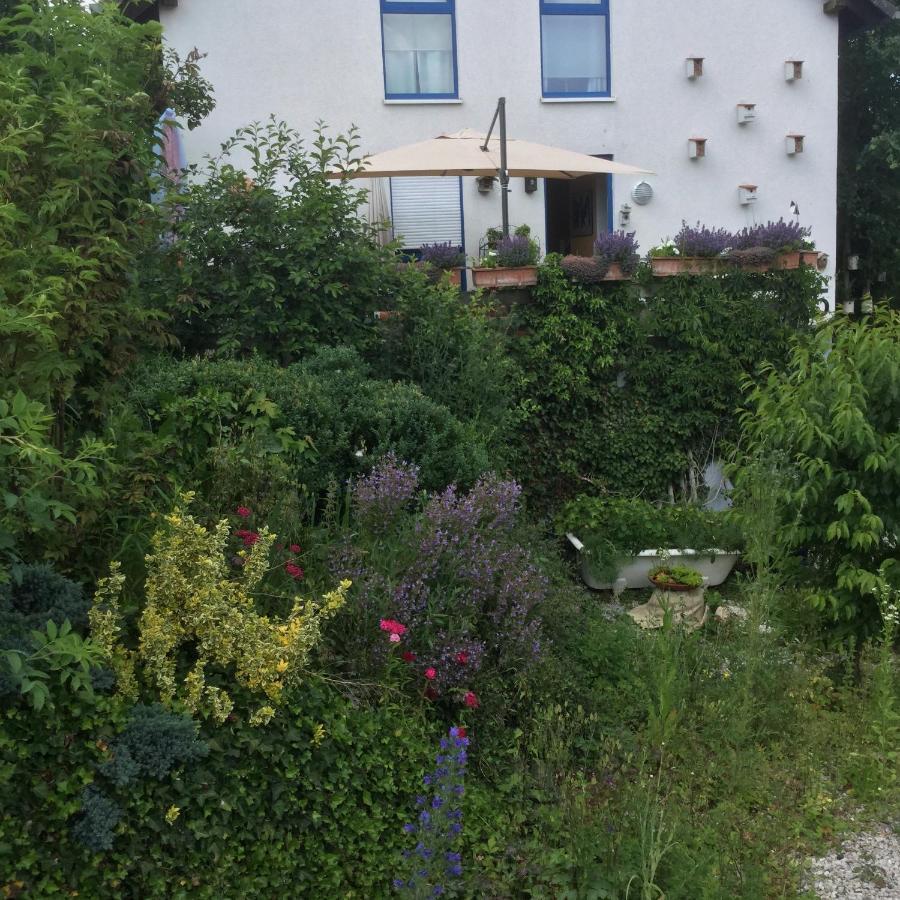Ferienwohnung Hering In Dill Exteriér fotografie